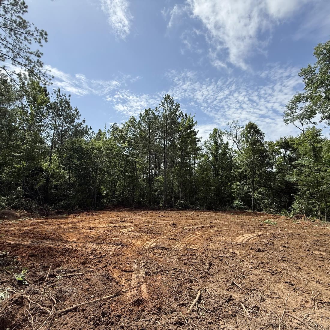 A freshly cleared lot of bare red dirt, a line of pines left standing behind it.