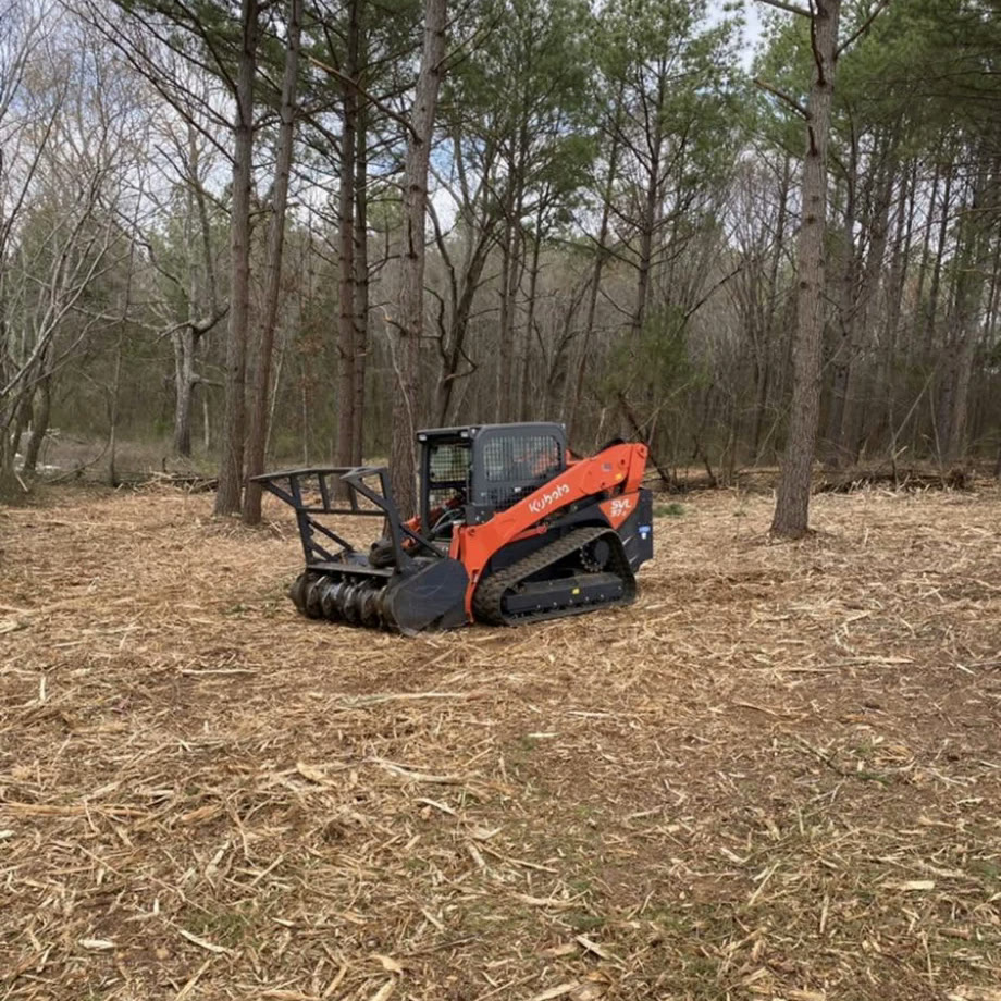 A tracked mulcher parked in pine woods, the ground around it freshly mulched.