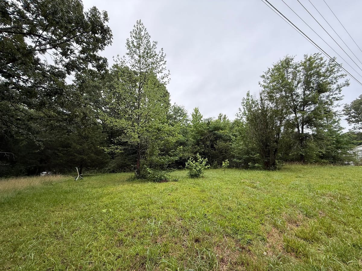 A field cleared back to grass, the tree line trimmed along the edge.