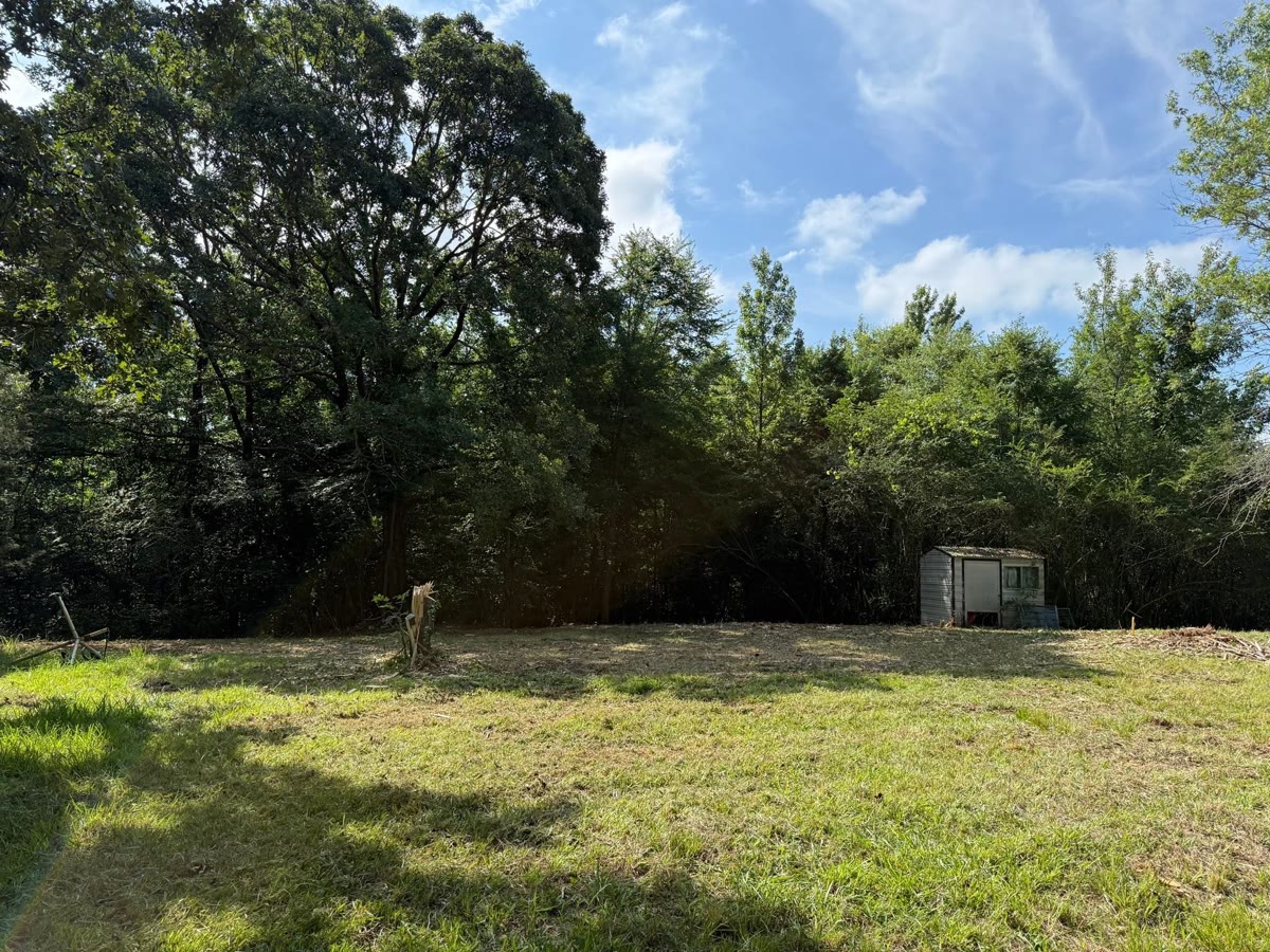 An overgrown yard cleared back to open lawn under the trees, a shed at the back.