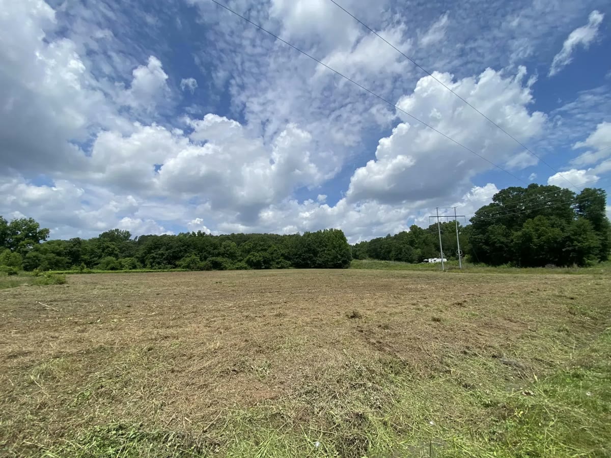 A wide overgrown field mulched flat under the power lines.