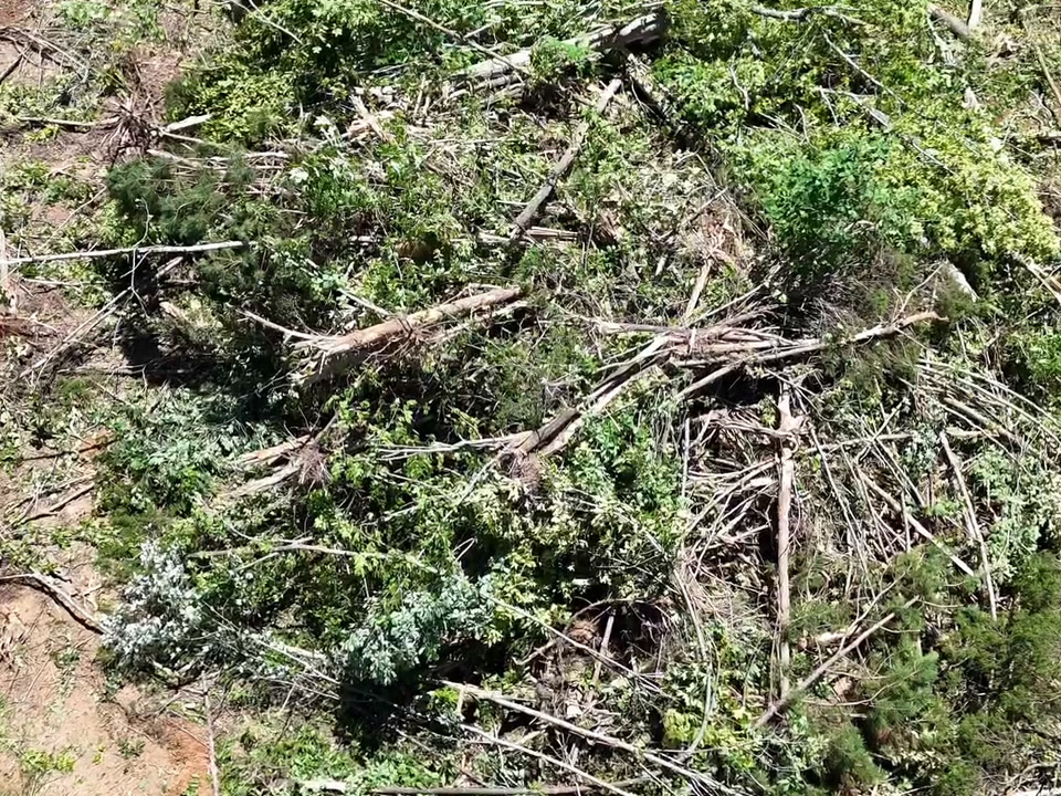 A drone view of brush and felled trees piled up on a cleared lot.