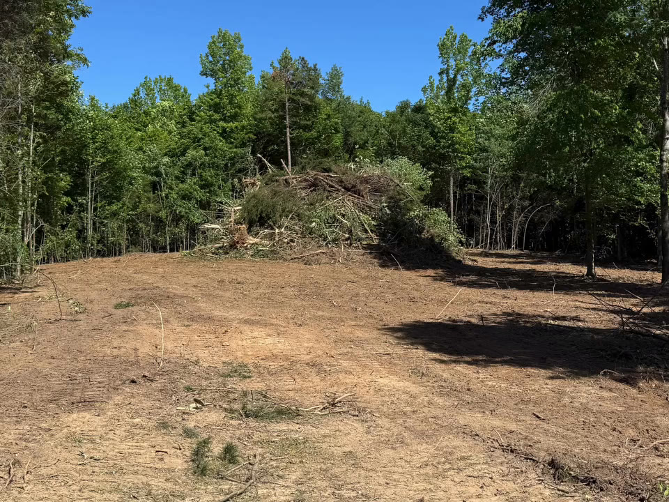A wide cleared lot of bare dirt with the woods trimmed back around it.