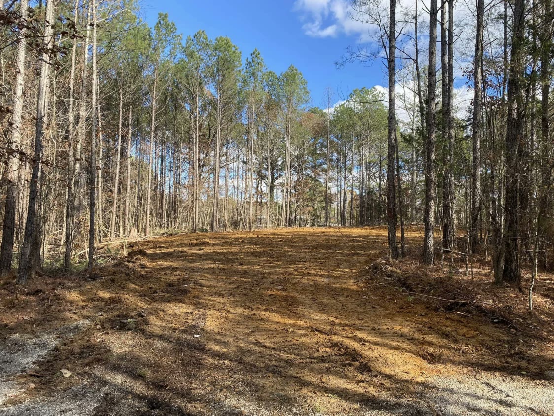 A lot cleared to bare red dirt off a gravel road, tall pines left standing around it.