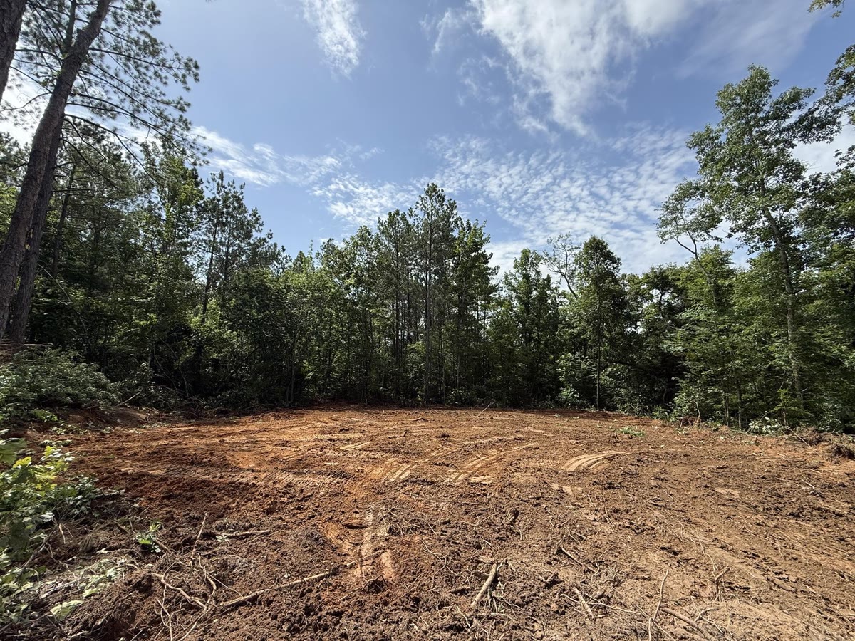 A freshly cleared lot of bare red dirt, pines left standing along the back.