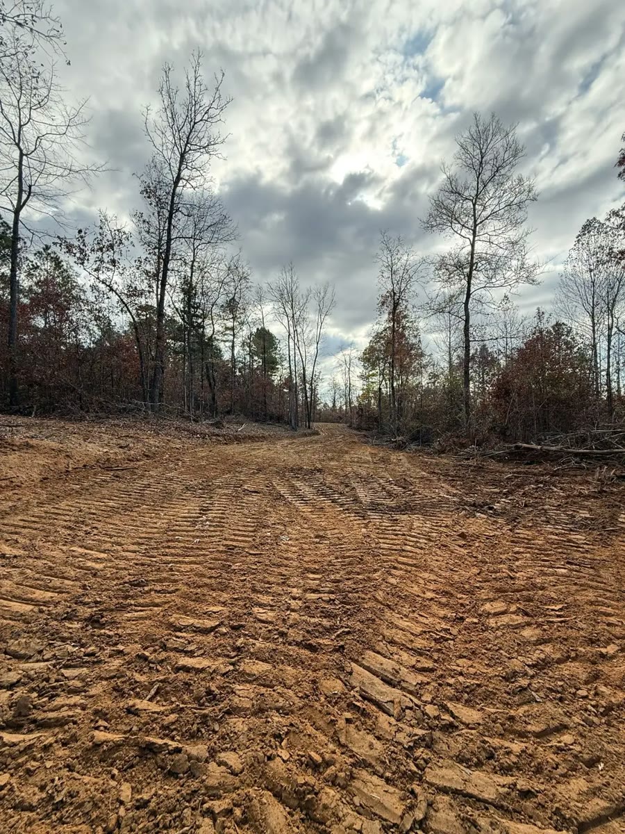 A new dirt road cut through bare winter woods, track marks pressed into the red clay.