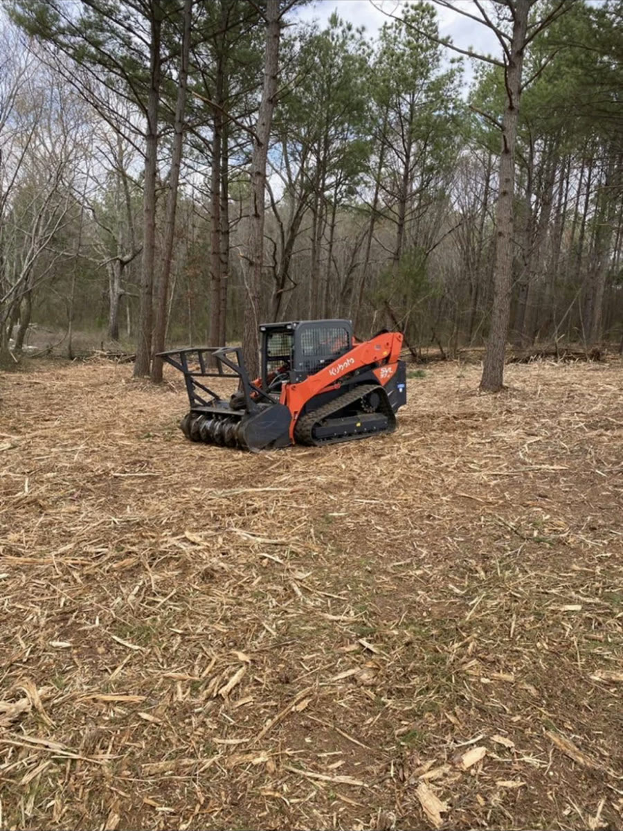 A tracked mulcher in pine woods, the ground around it freshly mulched.