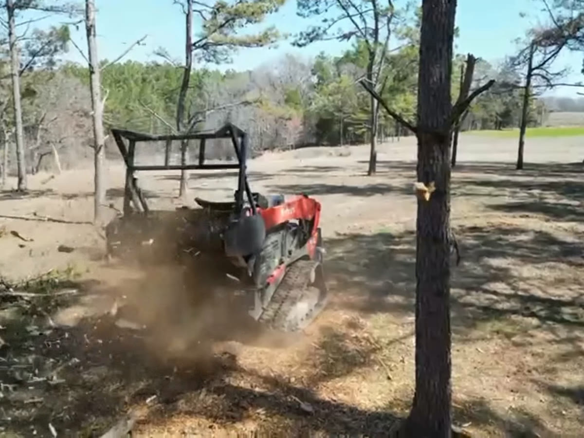 The mulcher pushing into brush under the pines, chips and dust flying.
